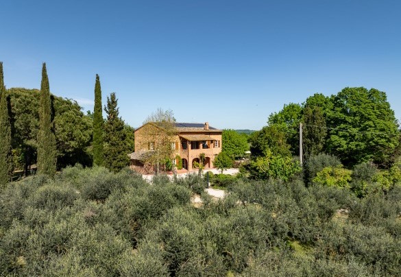 The estate’s vineyards produce some of the most renowned local wines - Sangiovese