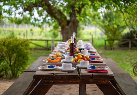 Outdoor dining table shaded by a pergola - Sangiovese