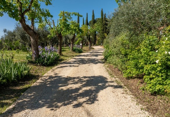 Driveway leading to the property - Sangiovese