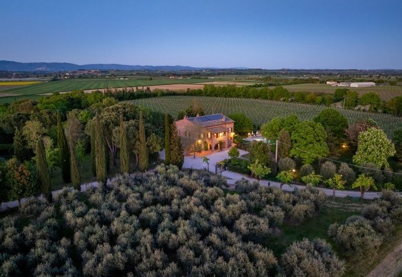 Ideal location for an authentic experience of the local wine culture - Sangiovese