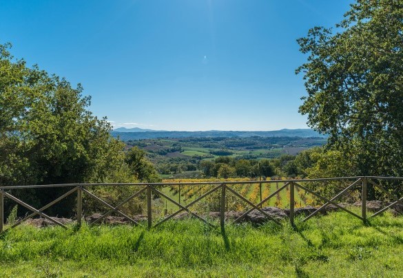 The park has numerous species of plants and flowers enliven the surroundings with typical shrubs in the wooded area and olive grove - Santa Illuminata 