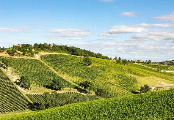 Gli ospiti potranno usufruire di servizi extra come una visita all'azienda agricola interna con degustazione di vini - Santa Maria Maddalena 