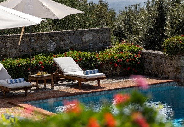 The beautiful  solarium, bordered by flowerbeds of geraniums, oleanders and blue plumbago bushes, is equipped with umbrellas, a sitting area and elegant sunbeds - Scandelaia