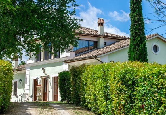 La stradina che dal cancello porta alla villa - Tenuta Astolfi