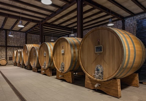 Nell’estesa azienda agricola, accanto alla villa, si produce un vino prelibato - Tenuta Bellafonte 