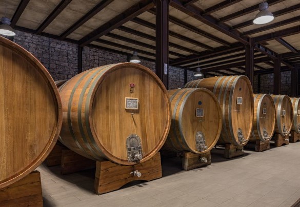 Si produce un vino prelibato da assaggiare direttamente presso le cantine della fattoria (visita e degustazione a richiesta) - Tenuta Bellafonte 