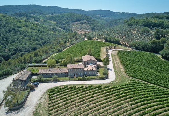La proprietà abbracciata dai vigneti e colline verdi - Tenuta Bellafonte