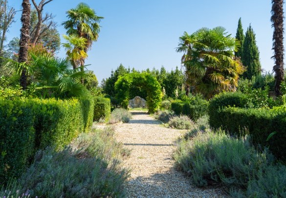 La lavanda dai colori viola intenso incornicia i vialetti di ghiaia bianca che conducono alla villa – Tenuta di Pratello