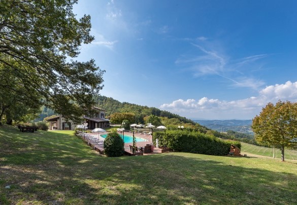 The country house and the pool seen from the back immersed in the green garden - Tenuta Montiepoli   