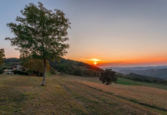 The property is situated on the gentle hills near Valfabbrica - Tenuta Montiepoli  