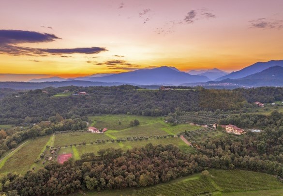 An aerial view of the property - Tenuta Navelli