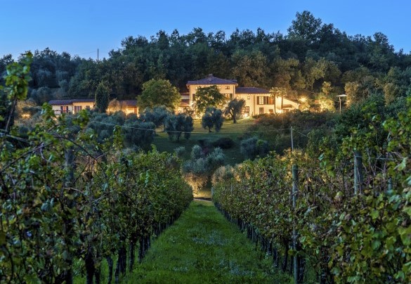 The main body of the villa is wrapped and immersed in 18 hectares of land, mostly intended for olive groves, vineyards and woods – Tenuta Navelli