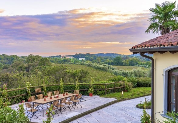The large vineyard and olive grove that can be seen in the distance – Tenuta Navelli