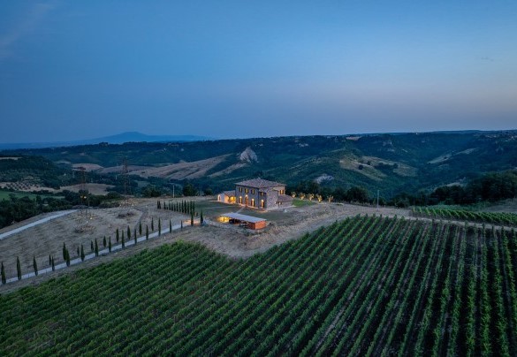 I vigneti che circondano la proprietà - Tenuta Orsini