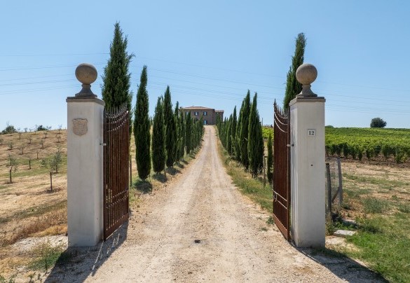 Il viale d’ingresso bordato da cipressi - Tenuta Orsini 