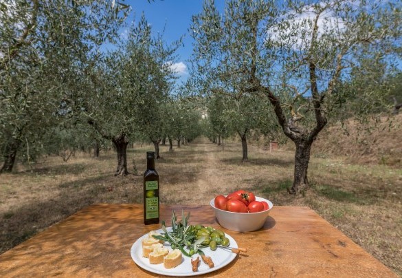 Le prelibatezze toscane - Tenuta Sagherina  