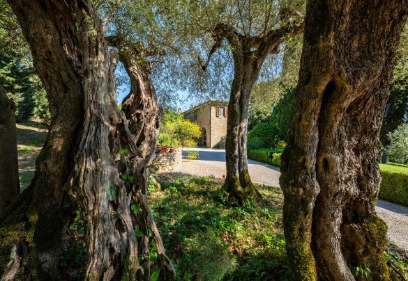 The garden area arranged just outside the farmhouse - Tenuta Sagherina