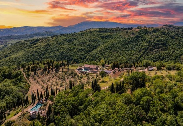 The farmhouse surrounded by olive groves and trees - Tenuta Santa Cristina