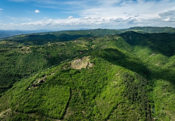 The hilly landscape - Tenuta Santa Cristina