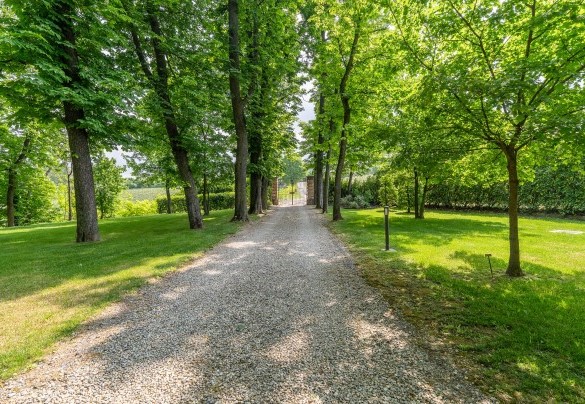 Varcato il cancello, i tigli fiancheggiano il viale di ghiaia - Tenuta Schiavon Barrero