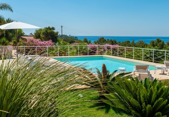 Elegante piscina a sfioro con intorno un parco spiccatamente mediterraneo impreziosito da alberi di alto fusto. Tenuta Scialandre