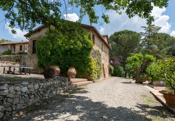 Il parco con circa 450 piante di ulivi, alcuni filari di vigneto, una piccola zona boschiva – Terra di Siena