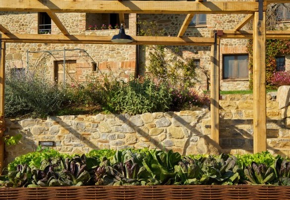 L'orto biologico a disposizione degli ospiti - Terra San Raffaele