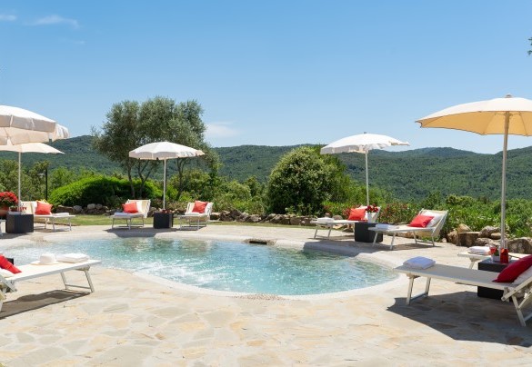La bellissima piscina - Terripi