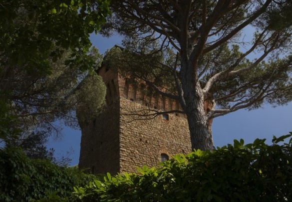 La maestosa torre - Torre di Paciano 