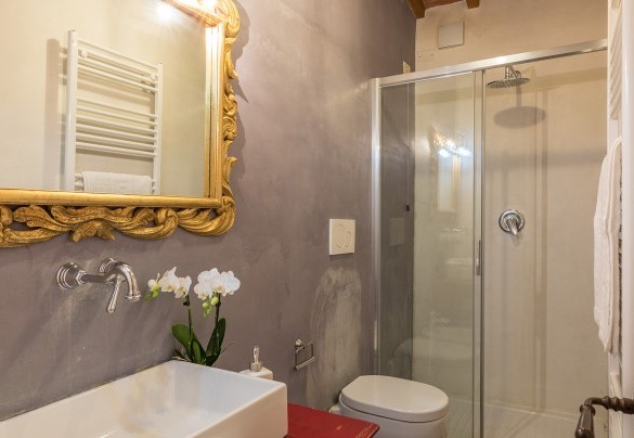 The characteristic bathroom with a shower - Torre Ginestre