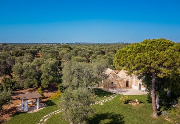 The privileged location because it is halfway between the Ionian Sea and the Adriatic -Trulli Biancapetra