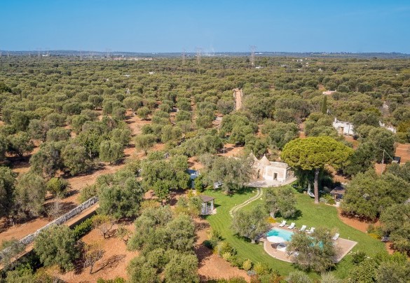 An unforgettable stay in the enchanting setting of the Apulian countryside -Trulli Biancapetra