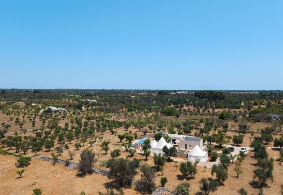 TRULLI FIORI DI MANDORLO 6 - Esterni 6