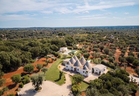 In the “ancient olive grove” – Trullo Magnifico