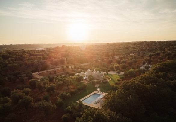 In the “ancient olive grove” – Trullo Magnifico