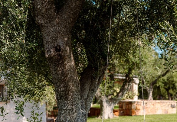 Moments of relaxation in the garden - Trullo Magnifico