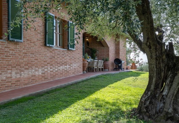 La vegetazione tipica della toscana come: olivi, cipressi, querce e melograni circondano la proprietà - Villa Adisa    