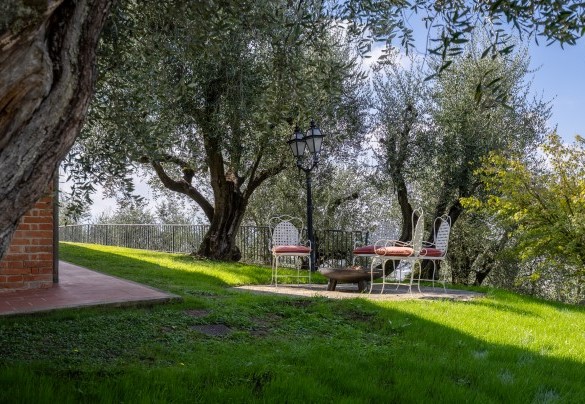 Un angolo relax all'ombra di ulivi secolari - Villa Adisa    