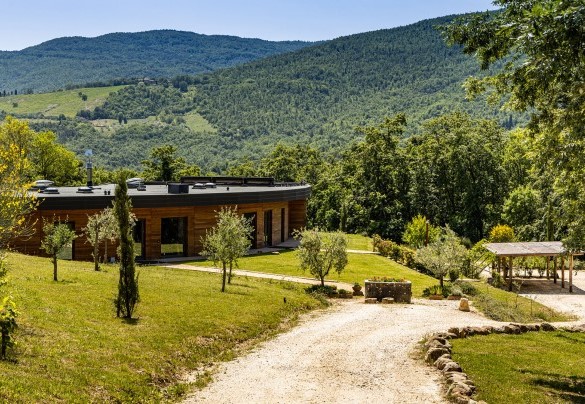 Il vialetto d'accesso porta all'area parcheggio - Villa Airone