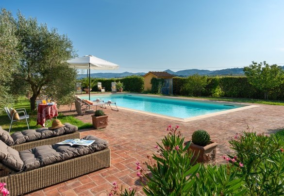The solarium area is surrounded by lush vegetation, enriched by plants in pots that add a touch of colour and vitality, and flanked by the beautiful olive grove – Villa Allodola