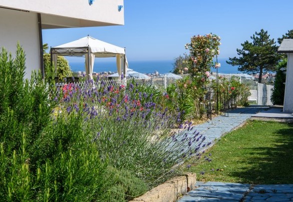 Flower garden with lavender – Villa Alma