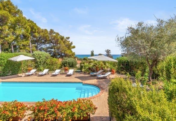 The swimming pool surrounded by park greenery - Villa Althaea