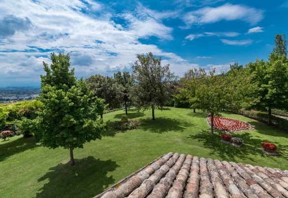 Splendido parco curato che circonda la villa - Villa Ambrah 12+1 