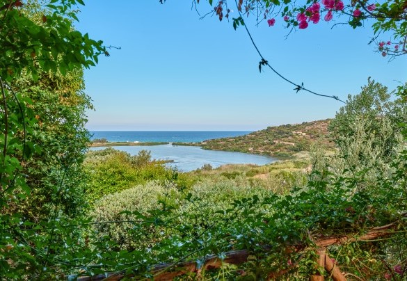 Avvolti dalla natura incontaminata della Laguna di Chia - Villa Ananda