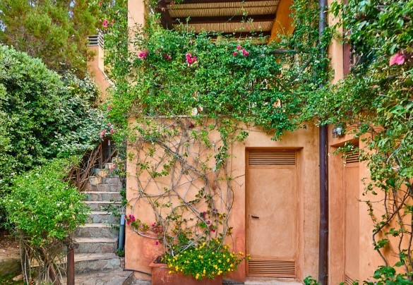 Il percorso nella proprietà che conduce all’ingresso principale - Villa Ananda