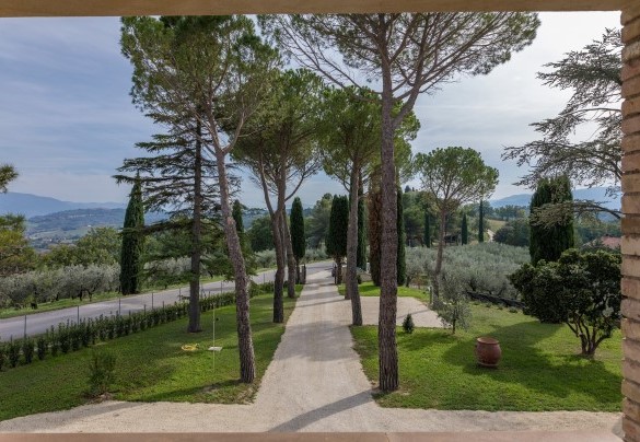 Il viale d'ingresso alberato - Villa Anna Elisa 