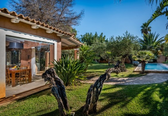 Il giardino che abbraccia la struttura è caratterizzato da piante di olivi secolari, agrumi e cycas- Villa Antura
