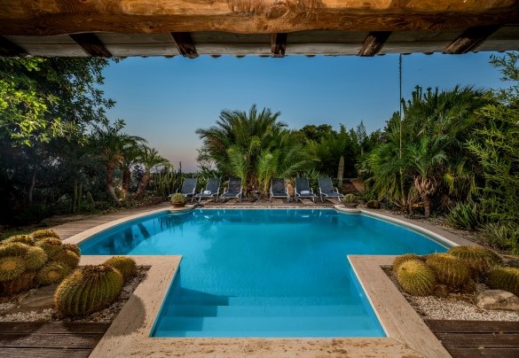 La piscina a sfioro attrezzata con lettini e abbellita da piante esotiche – Villa Ashram