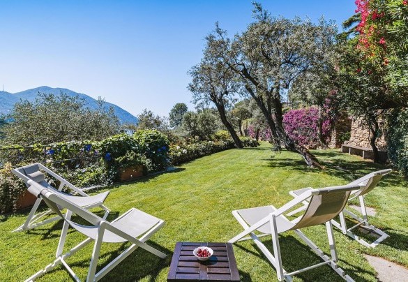 Il giardino su più livelli è ricco di piante fiorite ed ulivi  - Villa Baia Blu