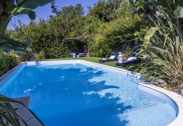 Swimming pool and solarium surrounded by the garden of palm trees, cycas, aloes and typical Mediterranean plants – Villa Bambù